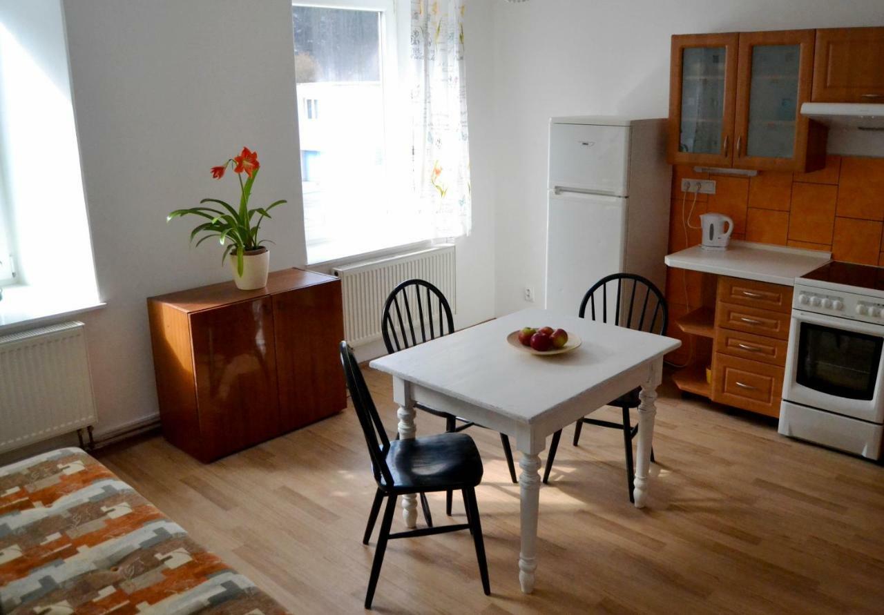 Apartmany Sophia تروتنوف المظهر الخارجي الصورة